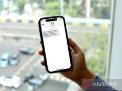 識別網絡釣魚模式和策略以保護個人數據