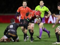 復興公牛的獅子支架