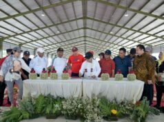 三寶壟 Rejomulio 魚市經過 3 年的建設落成