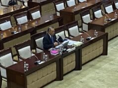 可行性測試,Dicky推動數字經濟支撐增長