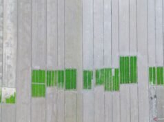 為維護國家糧食安全,政府致力於維護超過700萬公頃的高產稻田