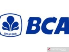 BCA要求客戶警惕通過虛假網站進行的“網絡釣魚”