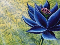 一項訴訟稱孩之寶在銷售備受爭議的萬智牌週年紀念系列時誤導了投資者