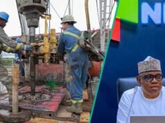 NNPC確認新油井發現,共同興奮