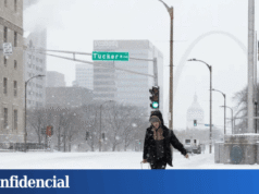 暴雪“蕨類植物”襲擊美國,造成數人死亡,近百萬人斷電