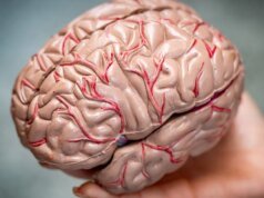 我們是不是越來越笨了?一位神經科醫生解釋道。