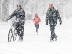 如果您想追踪蕨冬季風暴,您應該嘗試以下天氣應用程序之一