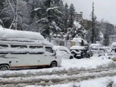 喜馬偕爾邦降雪:大雨和大雪擾亂了整個山區的正常生活,超過 1,250 條道路關閉