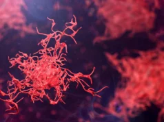 隨著危險的阿米巴原蟲在全球蔓延,科學家呼籲採取緊急行動