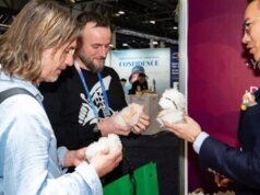 Joobie:您每時每刻的互動時尚人工智能伴侶