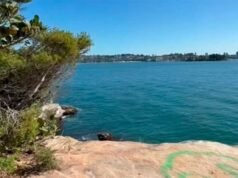 澳大利亞震驚:12歲男孩遭鯊魚襲擊身亡