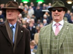 新的威利·馬林斯和里奇·瑞基馬在令人難以置信的首次亮相後立即成為切爾滕納姆節比賽的最愛。