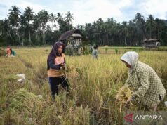 經濟學家:IJK 保持災民信貸重組的質量