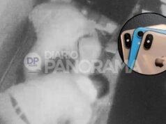 視頻 |市中心百萬富翁搶劫案:犯罪分子洗劫了一家 iPhone 商店