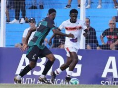 南馬托格羅索州潘塔納爾濕地受到阿吉亞內格拉的干擾