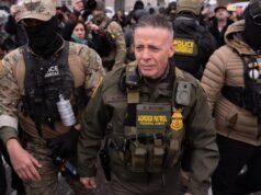 博維諾是特朗普移民突擊搜查的代言人。現在他的未來岌岌可危