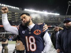 熊隊是美國最新的球隊