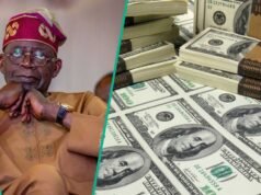 DMO 報告稱,2025 年第三季尼日利亞公共債務達到 N153.29tn