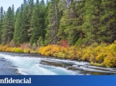 他們出於一個重要目的將原木扔進美國的河流中