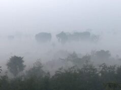 世界上污染最嚴重的地區是…