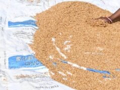 經過 3 年多的禁令,政府允許 2.5 噸小麥出口