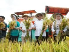 帕蒂縣政府已經證明了10噸/公頃水稻收割計劃的成功。