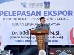 貿易部長向馬來西亞放行9噸Kepok Keling香蕉