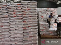 瑪瑯市政府預計齋戒月期間米消費量將增加