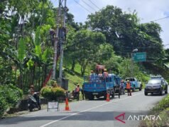 PLN UP3 齋浦拉針對惡劣天氣進行綜合維護