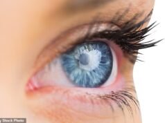 專家鑑定出眼內可導致癡呆症的細菌——這一發現為預防致命疾病的治療帶來了希望