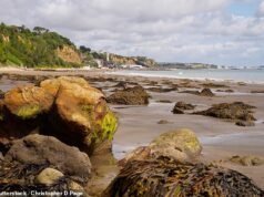 海藻:專家解釋了為什麼在飲食中添加黏性、鹹味、富含碘的海洋植物絕對可以為您的健康帶來奇蹟