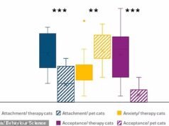 面對現實吧,你的貓並不在乎你:研究發現貓比狗更獨立,情感上根本不需要主人。