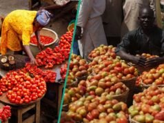 農民在齋月前更新現金價格