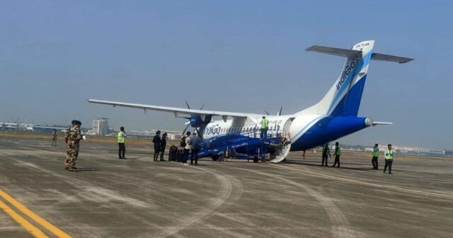 14shilong-indigo-flight.jpg