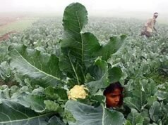 建立普遍援助:亞銀-普華永道在第十六屆論壇上的研究