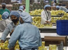 印尼失業率下降的背後