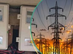 FG 宣布五個州停電三天,因製造工廠維護減少 934MW