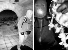 聯邦調查局公佈嫌疑人描述以及南希·格思裡失踪的新細節