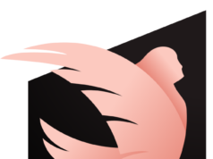 ACFC已將Savvy King從賽季結束的傷病名單中刪除