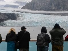 福斯新聞生活風格通訊:2026 年 2 月 10 日至 17 日