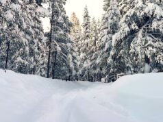 北加州數十年來最嚴重的雪崩中,八名滑雪者被發現死亡,一名失踪