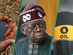 蒂努布簽署行政命令,將石油和天然氣稅直接匯至聯邦帳戶