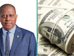 奈拉大幅提振奈及利亞儲備達485億美元,創13年來最高水平