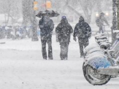 紐約市的雪鏟需要多個 ID。在重大暴風雪警報預報中。