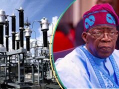 N6tn 或 N2.8tn:Tinubu、GenCos 對電力債務數字存在分歧,引發新的混亂