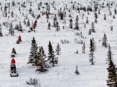 隨著人們對北極安全的興趣日益濃厚,代表們發表講話,護林員行動起來