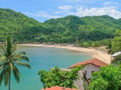 與 CJNG 相關的分時度假詐騙網絡