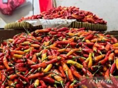 PIHPS:紅洋蔥價格IDR 50,950/kg,紅紅辣椒IDR 84,250/kg