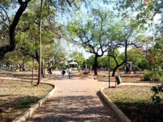 科倫巴討論城市林業對氣候適應力的影響