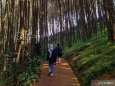 民族運動「印尼朝裡」與世界旅遊趨勢